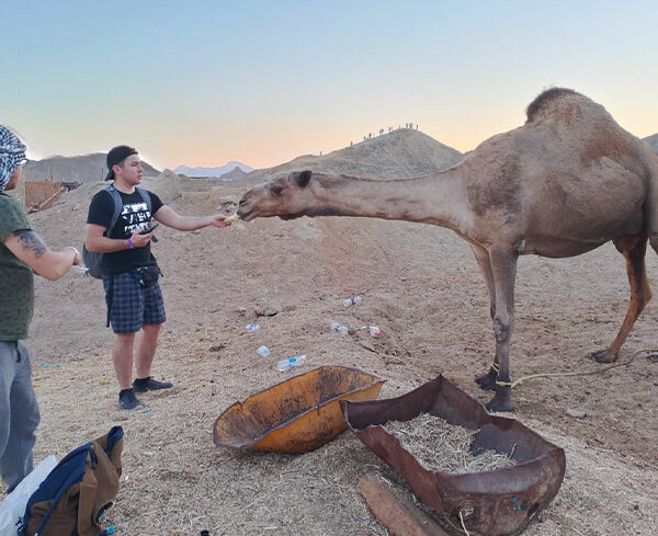 Poranne i popołudniowe quady z Marsa Alam