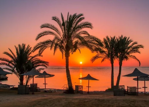 🇵🇱 Marsa Alam 🇵🇱