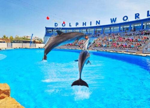 Delfinarium Hurghada