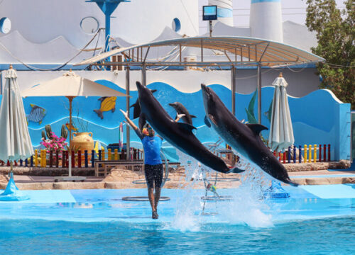 Delfinarium Hurghada