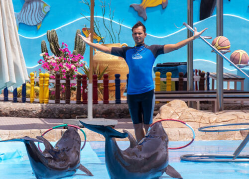 Delfinarium Hurghada